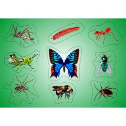 Knob Puzzle A4 - Small Creatures - Insects (wood)