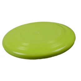 Plastic Frisbee (~25cm)