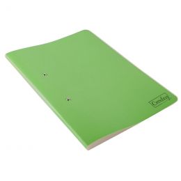 File - Accessible Foolscap JD1110 (1pc) Croxley - Light Green