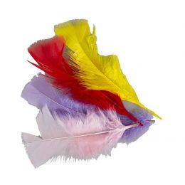 Feathers Bulk (100g) - Turkey - Assorted Colours