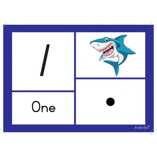 Flash Cards (A4) - Number 1-20 Symbols, Dots, Picture & Name (20pc)