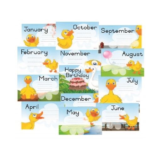 Birthday Chart - A4 (13pc) - choose theme