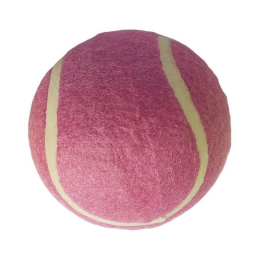 Cricket Ball - Rubber