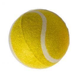 Cricket Ball - Rubber