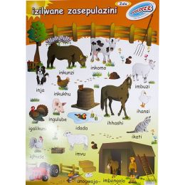 Poster - IZILWANE ZASEPULAZINE - (FARM ANIMALS) (Zulu)