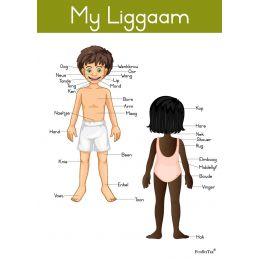 Poster - My Liggaam (A2)