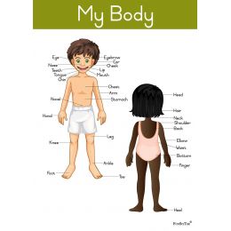 Poster - My Body (A2)