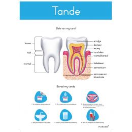 Poster - Tande (A2)