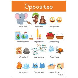 Poster - Opposites (A2)