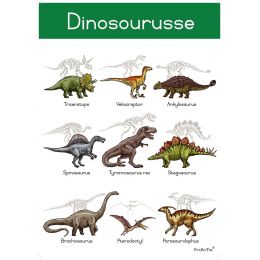 Poster - Dinosourusse (A2)