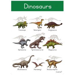 Poster - Dinosaurs (A2)