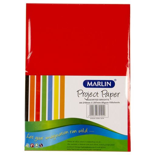 Paper A4 - 80gsm (100 sheets) - Bright Assorted