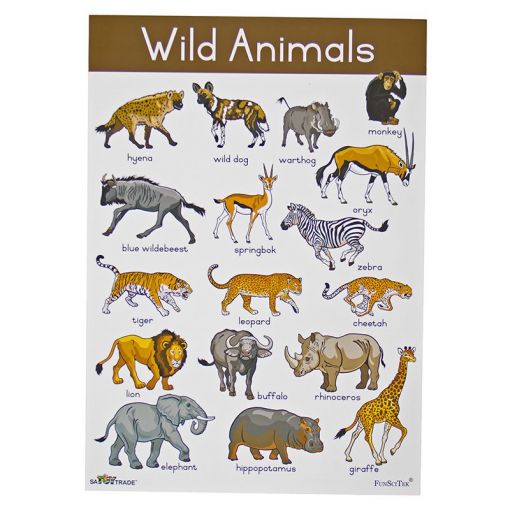 poster - wild animals (a2) | jungle animal names | satoytrade