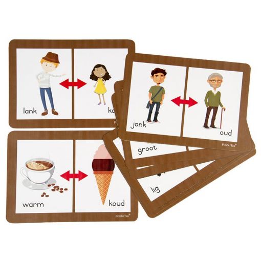 Flash Cards (A5) - Teenoorgesteldes (10pc)