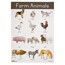 Poster - Farm Animals (A2)