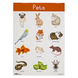 Poster - Pets (A2)