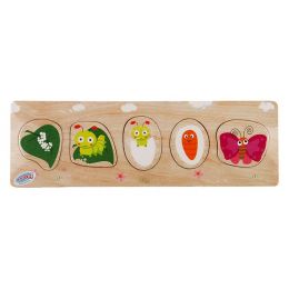 Life Cycle - Butterfly (5pc) - wood