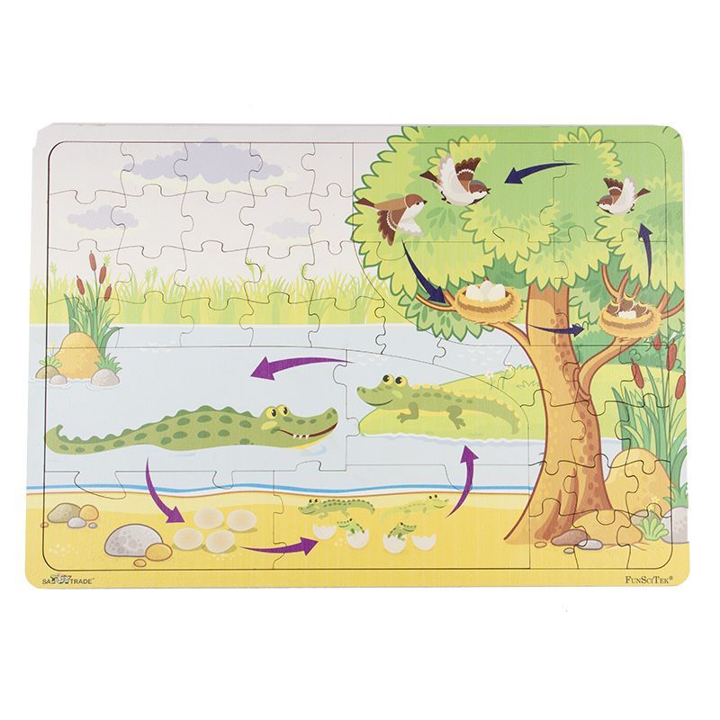 PZ Wood Frame - A3 - 42pc - Animal Life Cycles