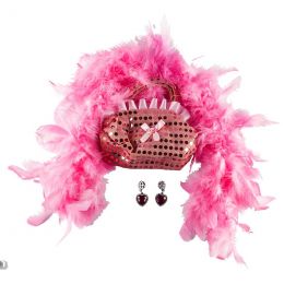 Fantasy Clothes - boa, earrings & purse