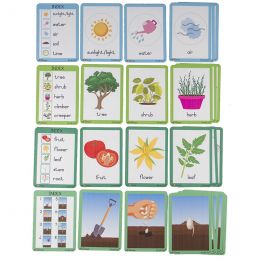 Flash Cards (A6) - Growing Things: Plants (27pc)
