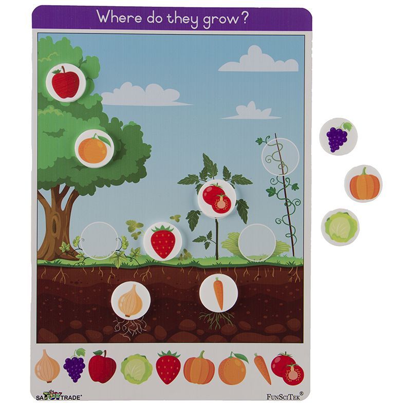 Where do they grow - Activity board & Counters