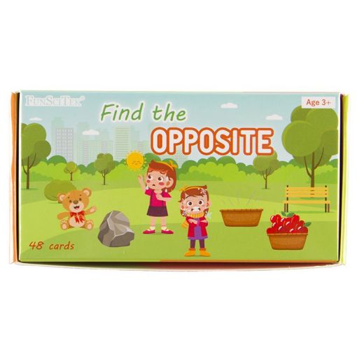 FunSciTek - Find the Opposite - Cardboard