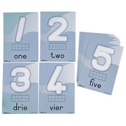 Dough Cards (A5) D/sided - Numbers/Syfers (10pc) FunSciTek