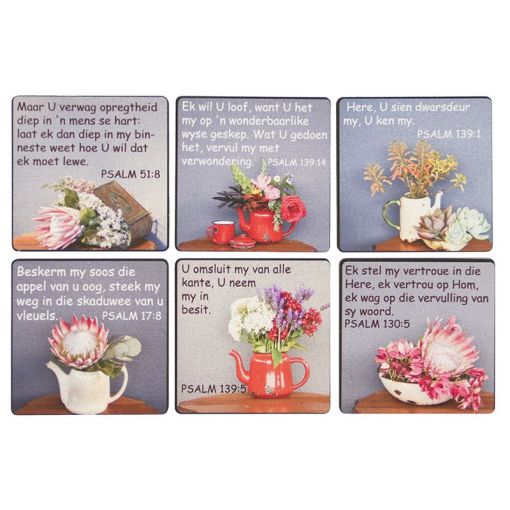 Coasters Gemeng (6pc) - Bybelverse