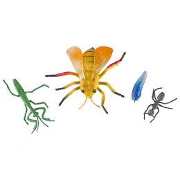 Insects - Assorted Medium to X-Large (4pc)