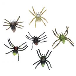 Spiders - Assorted Large (6pc)