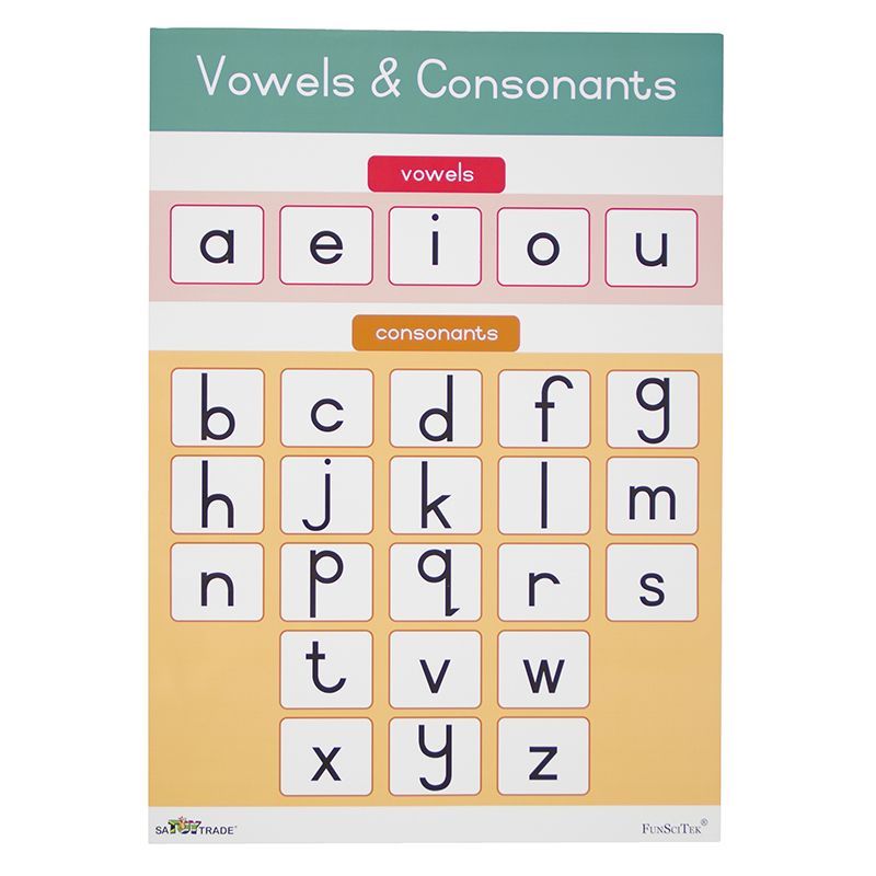 Poster - Vowels & Consonants (A2)