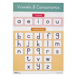 Poster - Vowels & Consonants