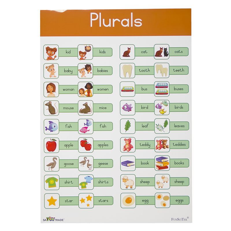 Poster - Plurals (A2)