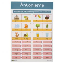 Poster -  Antonieme (A2)