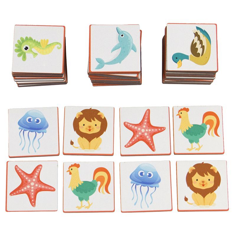 FunSciTek - Find the Match & Memory Game (48pc) - Wood Box