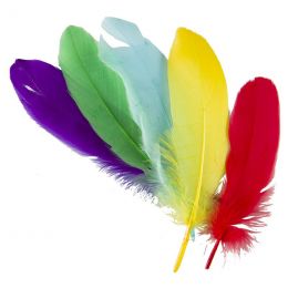 Feathers (15cm) - Assorted Bright Colours (5pc)