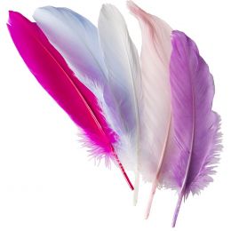 Feathers (15cm) - Assorted Pastel Colours (5pc)
