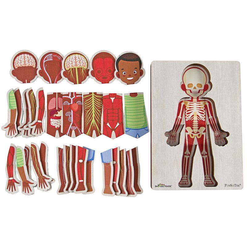 A4 Wood Insert Puzzle - Human Body (6 Layers) - Western Boy