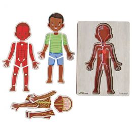 A4 Wood Insert Puzzle - Human Body (6 Layers) - Boy