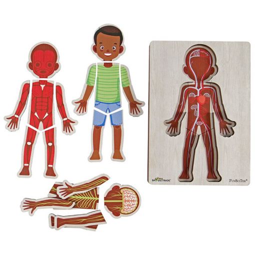 A4 Wood Insert Puzzle - Human Body (6 Layers) - BOY